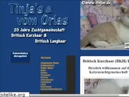 Sites similar to tinjas.de