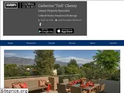 Sites similar to tinkcheney.com