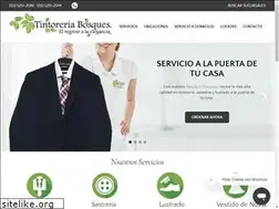Sites similar to tintoreriabosques.com