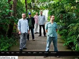 Sites similar to tinyfish.org