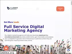 Sites similar to tinygiantwebsolutions.com