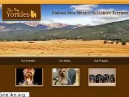 Sites similar to tinypawsyorkies.com