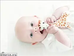 Sites similar to tinyspoon.com