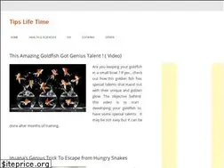 Sites similar to tipslifetime.com