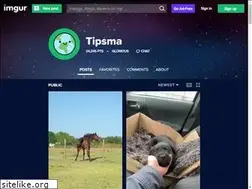 Sites similar to tipsma.imgur.com