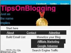 Sites similar to tipsonblogging.com