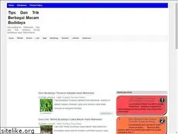 Sites similar to tipspanduanbeternak.blogspot.com