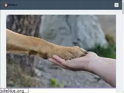 Sites similar to tiptopdogz.com
