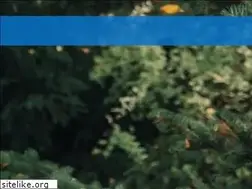 Sites similar to tisbi.ru