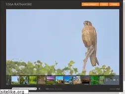 Sites similar to tissaratnayeke.com