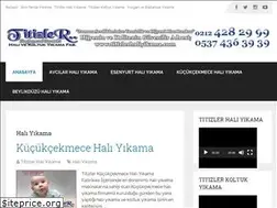 Sites similar to titizlerhaliyikama.com
