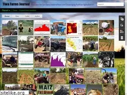 Sites similar to tiwafarms.blogspot.com