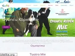Sites similar to tiyatromie.com