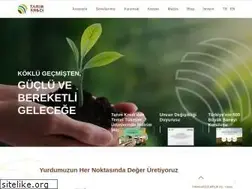 Sites similar to tkholding.com.tr