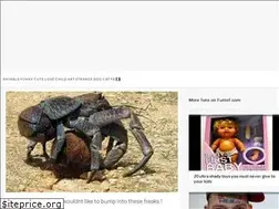 Sites similar to tkoala.com