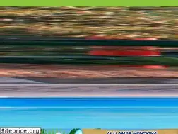 Sites similar to tlacoac.com.mx