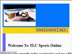 Sites similar to tlccomputers.com