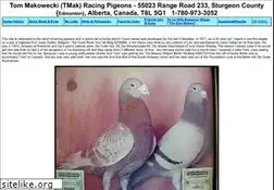 Sites similar to tmakowecki.com