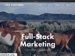 Sites similar to tmbconsulting.com