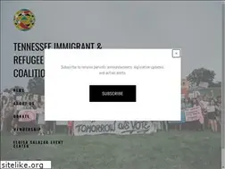 Sites similar to tnimmigrant.org