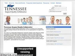 Sites similar to tnsqc.com