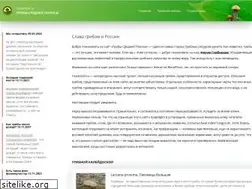 Sites similar to toadstool.ru