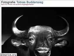 Sites similar to tobiasbuddensieg.de