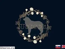 Sites similar to tobrok.sk
