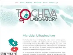 Sites similar to tochevalab.org