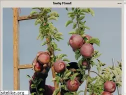 Sites similar to toconnell.com