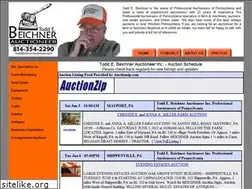 Sites similar to toddbeichnerauctioneer.com