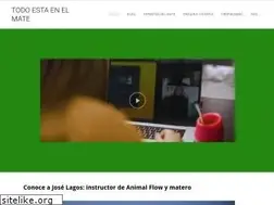 Sites similar to todoestaenelmate.cl