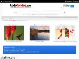 Sites similar to todofondos.com