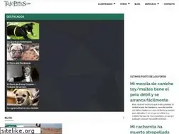Sites similar to todoperros.com