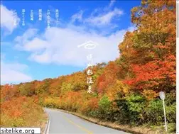 Sites similar to togatta.jp