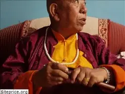 Sites similar to togdanrinpoche.com