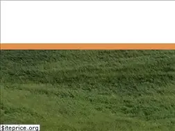 Sites similar to togetherfarms.com
