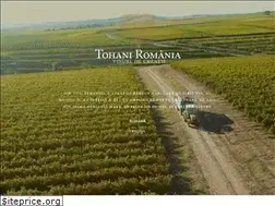Sites similar to tohaniromania.com