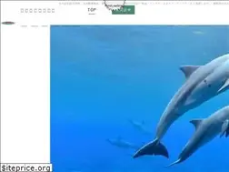 Sites similar to tohsei-co.com