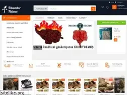 Sites similar to tohumlarfidana.net