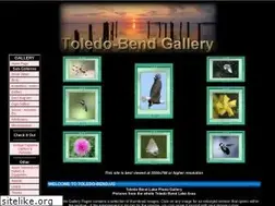 Sites similar to toledo-bend.us