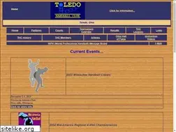 Sites similar to toledohandballclub.com