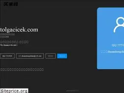 Sites similar to tolgacicek.com