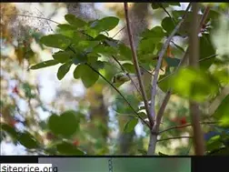 Sites similar to tolnem.com