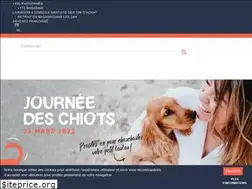 Sites similar to tomandco.be