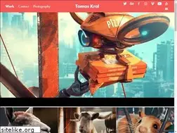 Sites similar to tomaskral.cz