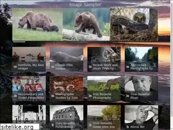 Sites similar to tombessette.com