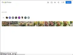 Sites similar to tomgendron.com