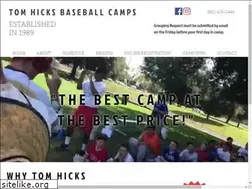 Sites similar to tomhicksbaseballcamps.com