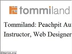 Sites similar to tommiland.com